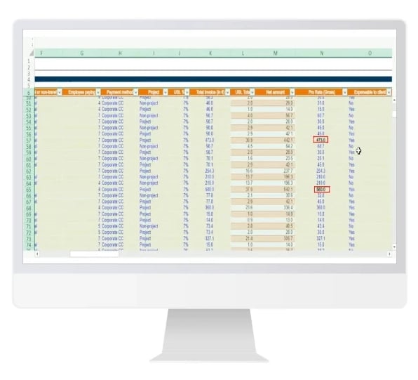 Markierung bestimmter Werte von Copilot in Excel