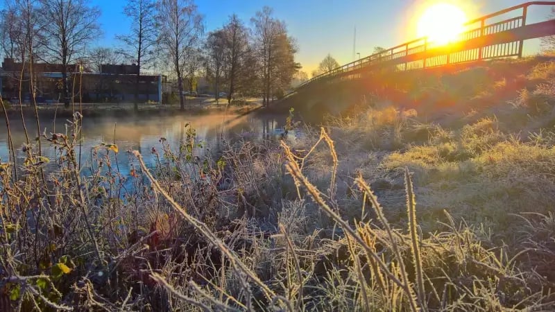 Nature in sweden