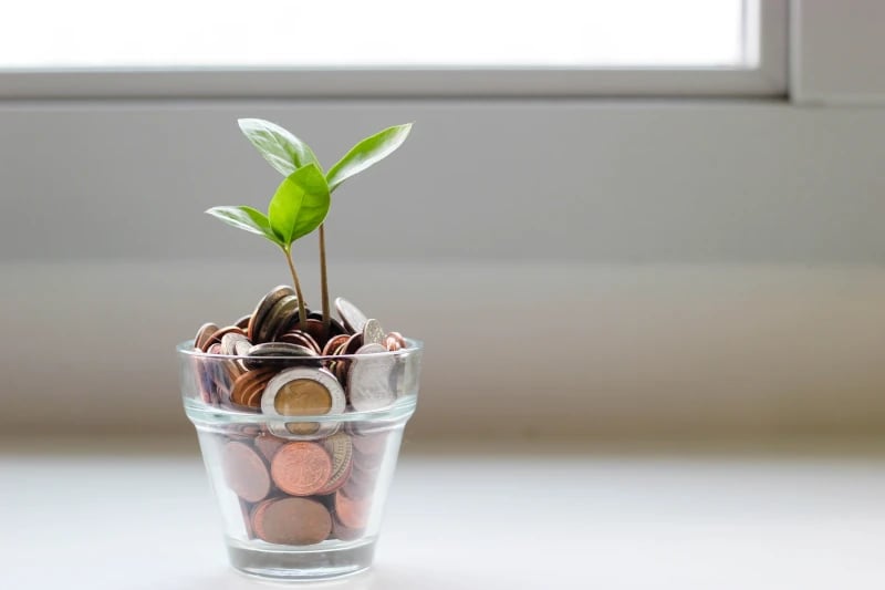 Kleine Pflanze mit Kleingeld