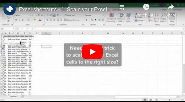 Scale-cells