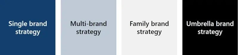 types of brand strategies
