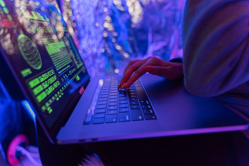 Person Laptop