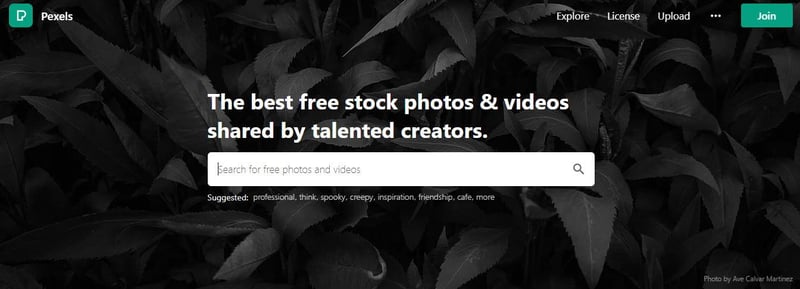 Pexels free stock photo sources for PowerPoint presentations
