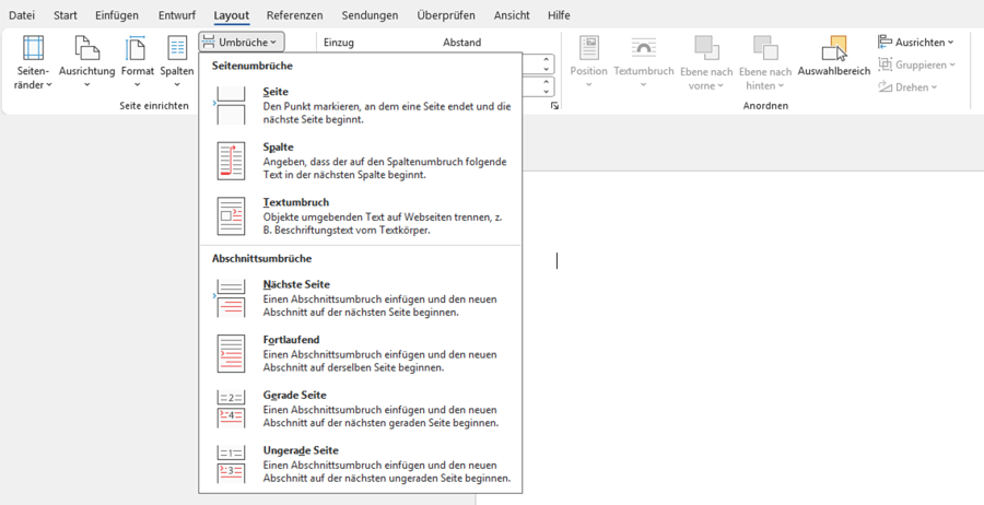 Seitenumbruch in Word