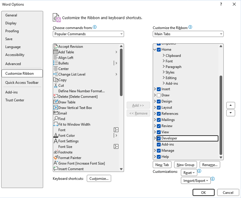 Developer tools in Word