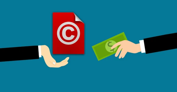 Copyright and other image rights