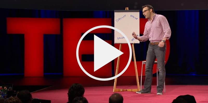 Platz 10 der besten TED-Talks aller Zeiten!